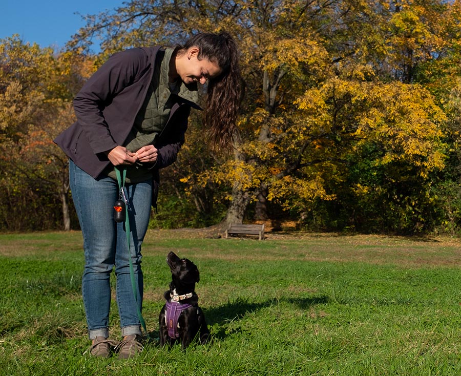 Brittney Paye - Philly Dog Training